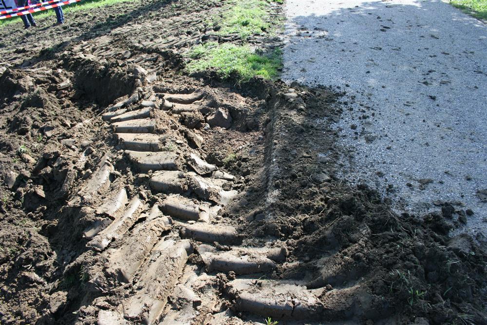 Events/2010/Dorffest/Reini List